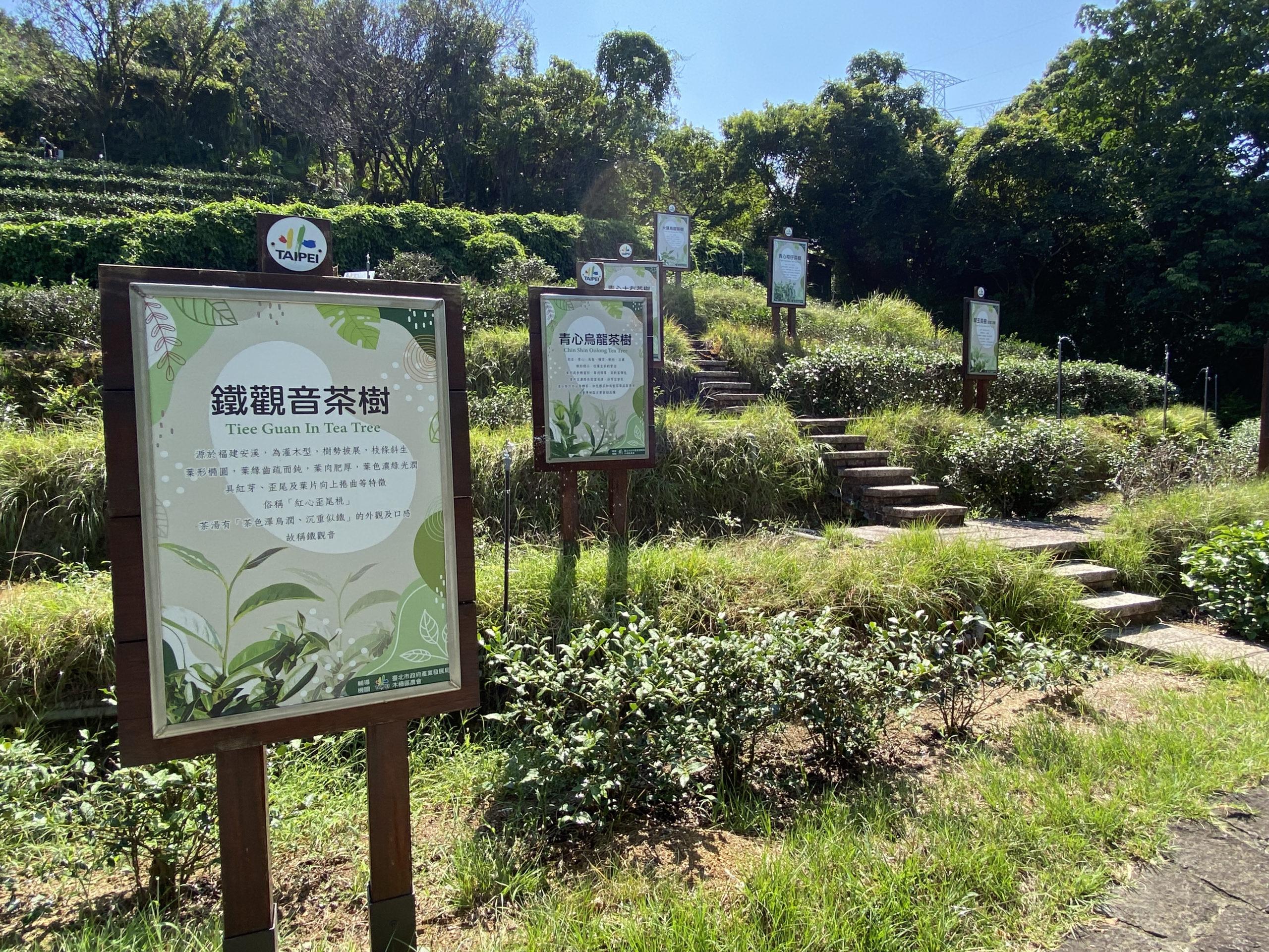 tea garden smart irrigation
