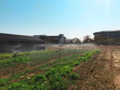 金門農工實習農場